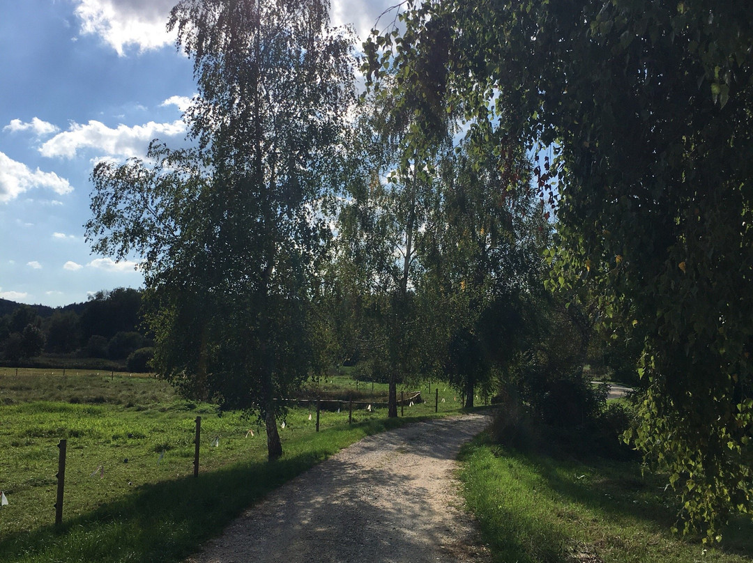 Torferlebnispfad-Jettingen Scheppach必去景点