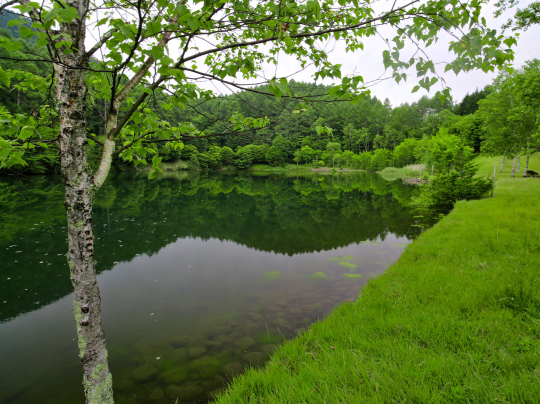 Tatenoumi Park景点图片