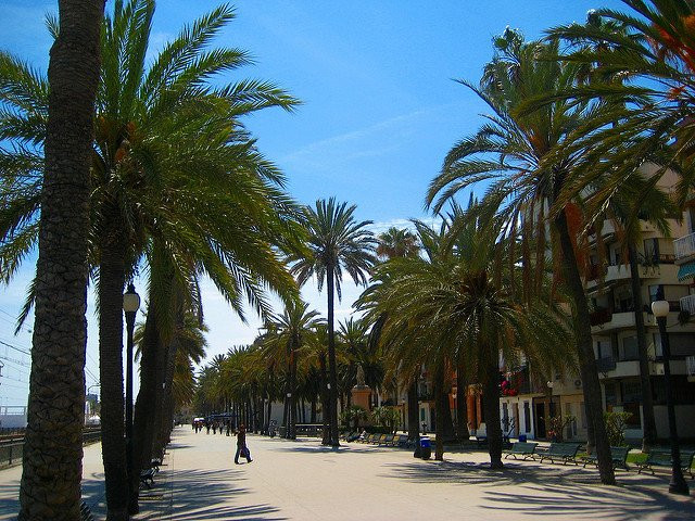 Rambla de Badalona景点图片