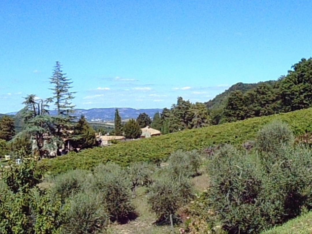 Agriturismo Lapone主图