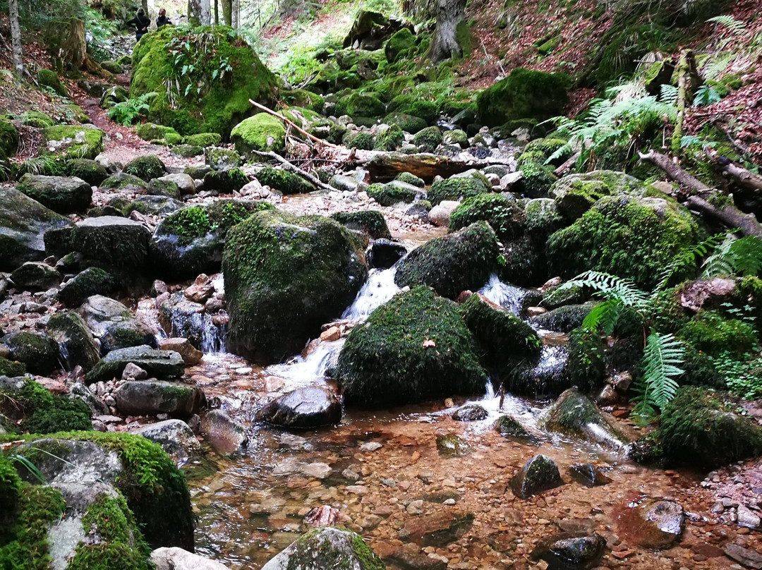 Cascade Charlemagne景点图片