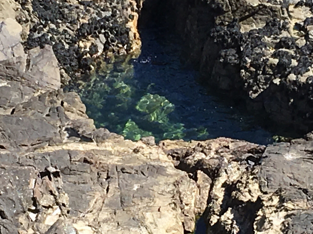 Venus Pool-Sark必去景点