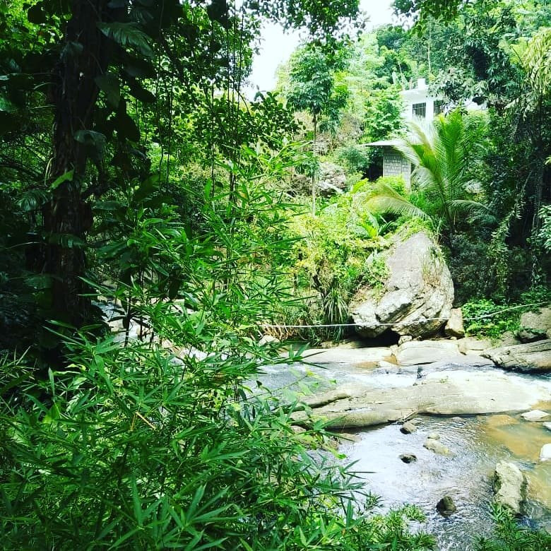 Hotel Rahas Ella主图