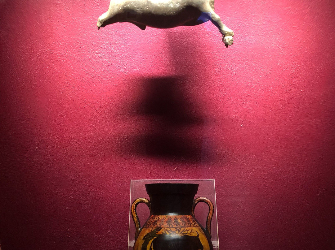 Museo de la Cultura Taurina-萨尔蒂必去景点