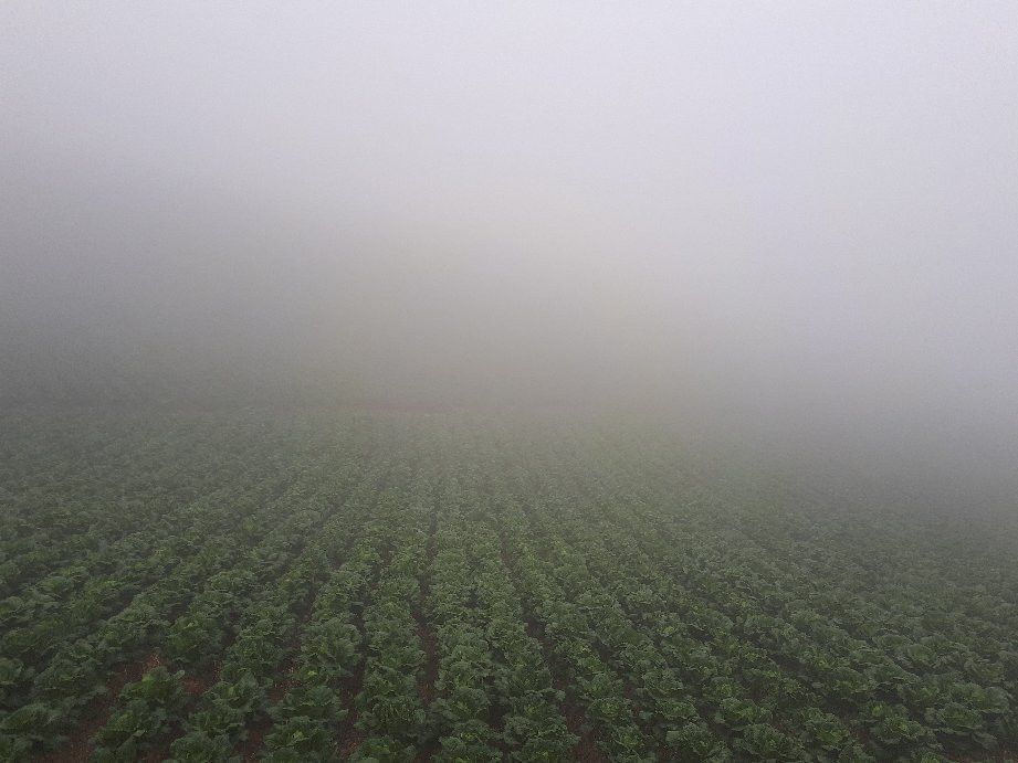 Maebongsan Wind Power Plant Complex-太白市必去景点
