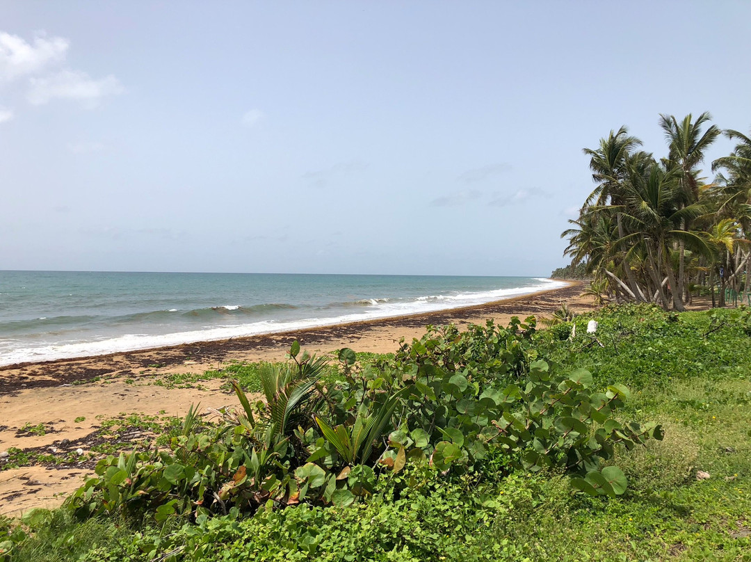 Parador MaunaCaribe主图