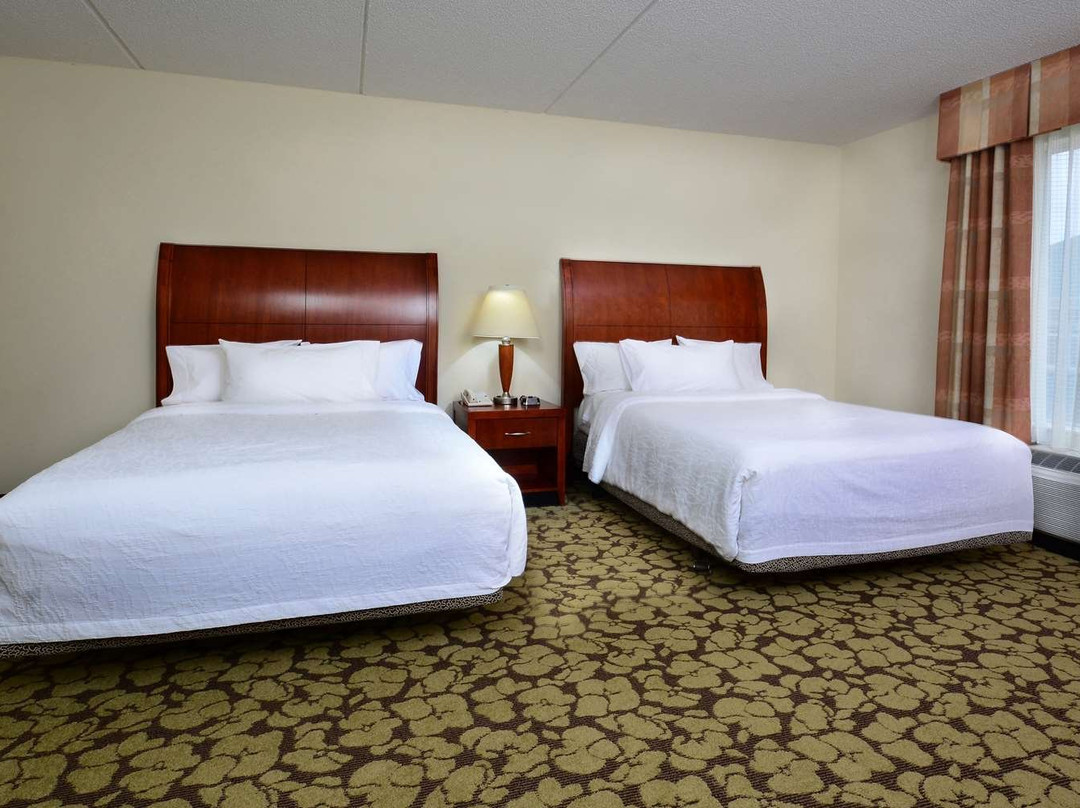 拉雷三角镇中心希尔顿花园酒店主图