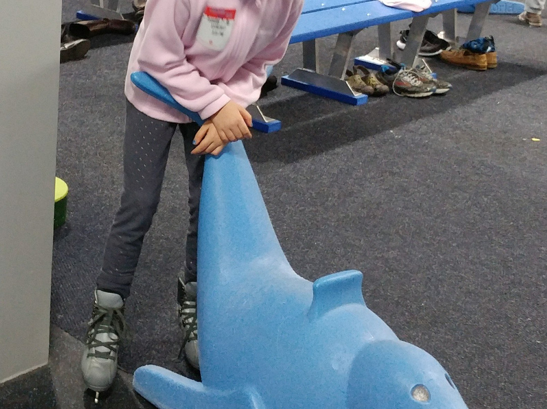 Florida Hospital Center Ice-卫斯理堂必去景点