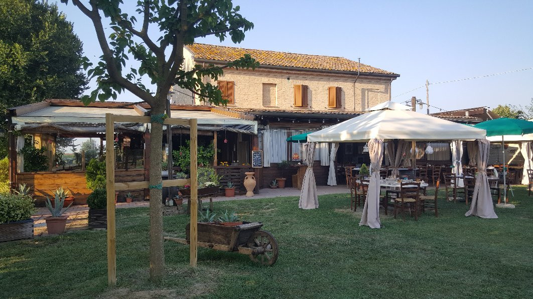 Il Gallo Rosso主图