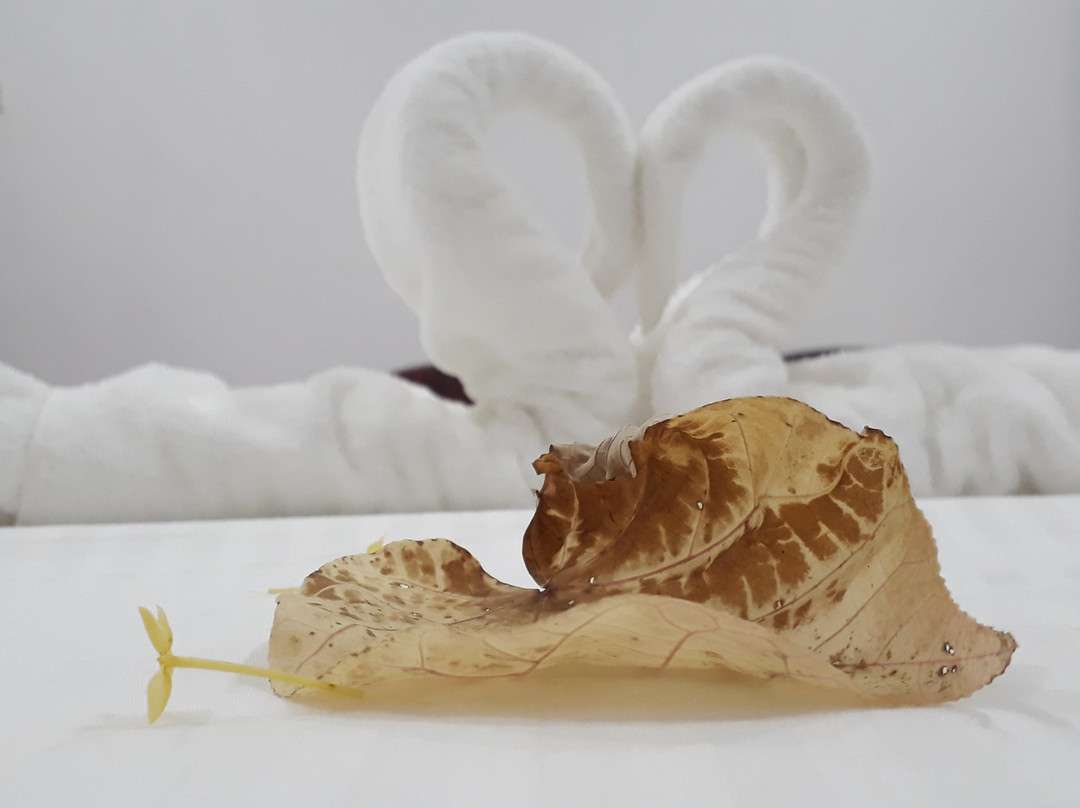 Akila Holiday Resort主图