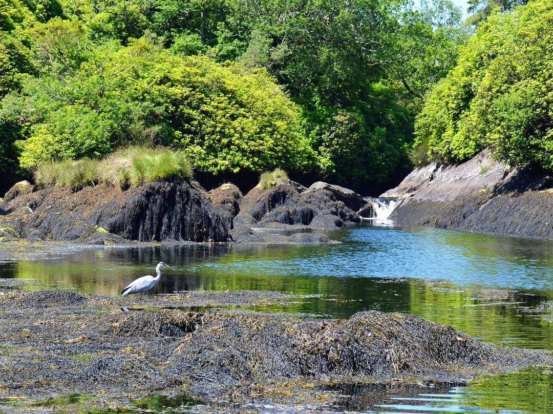 The Blue Pool Ferry-Glengarriff必去景点