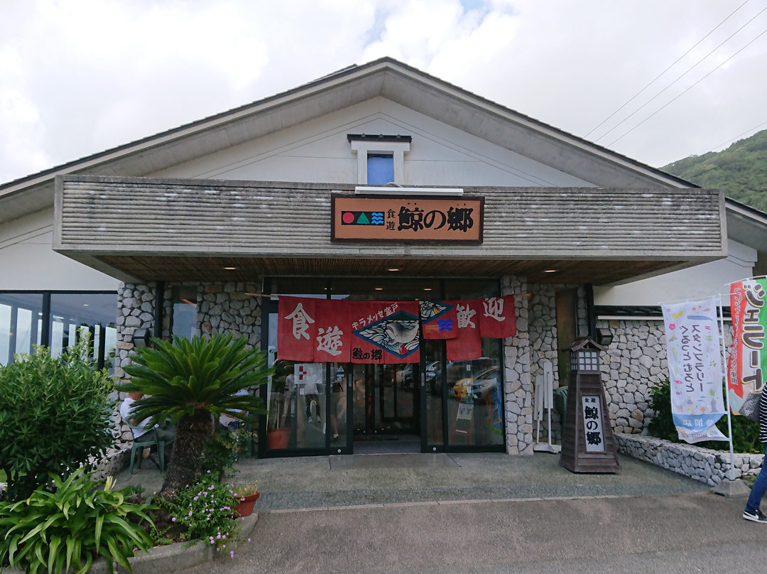 Whale Museum-室户市必去景点