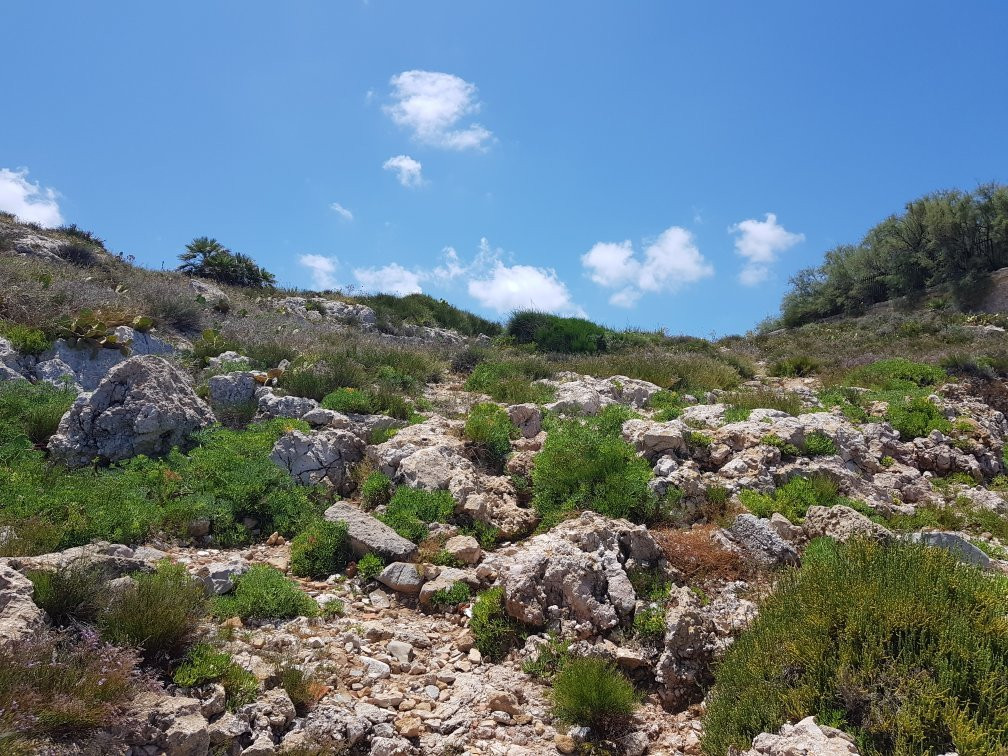 Riserva Naturale Orientata - Capo Rama-Terrasini必去景点