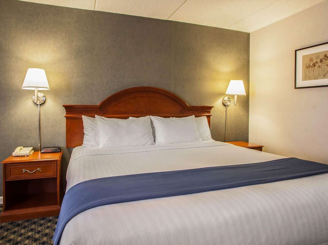 芝加哥圣查尔斯快捷假日酒店主图