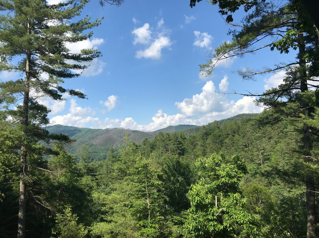 Creek Ridge Camping Cabin