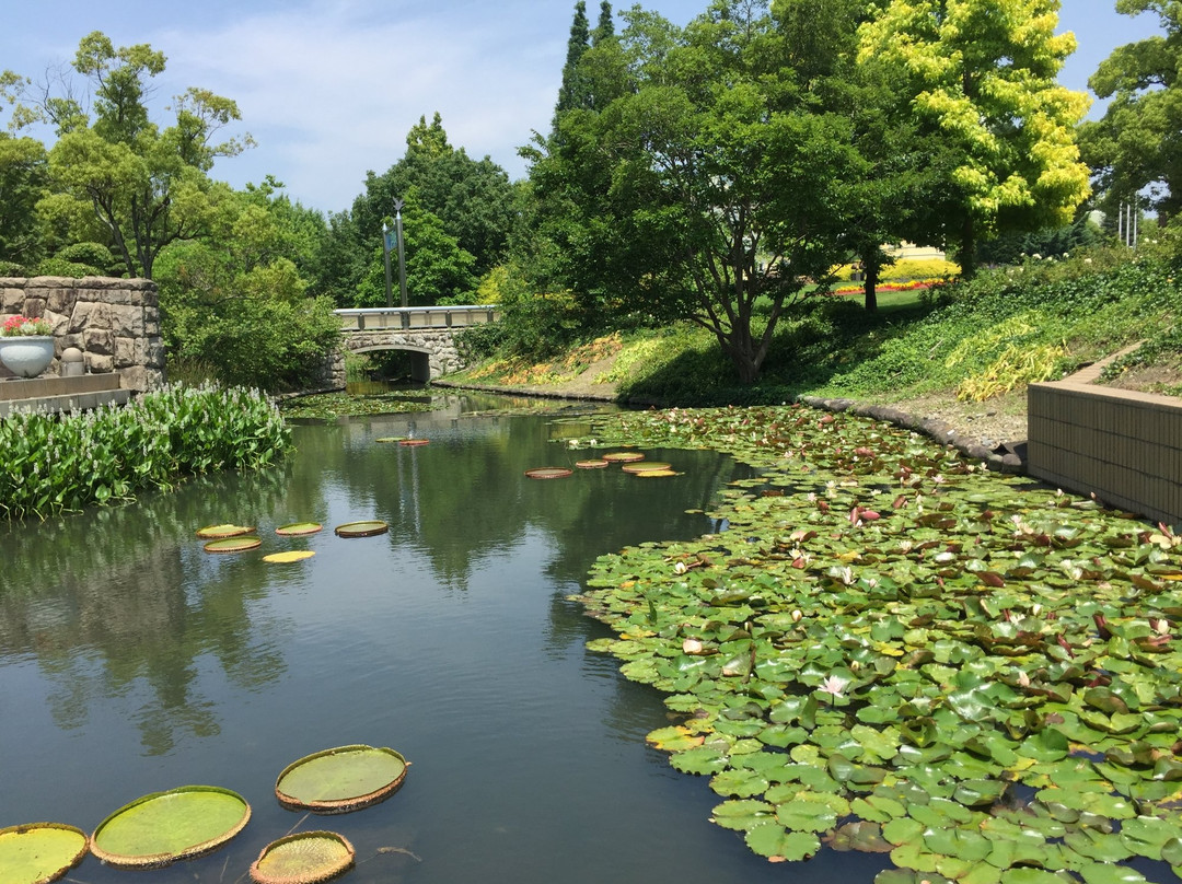 安城市旅游攻略图片