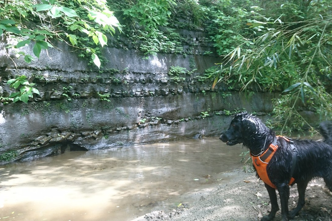 Umegase Valley-市原市必去景点