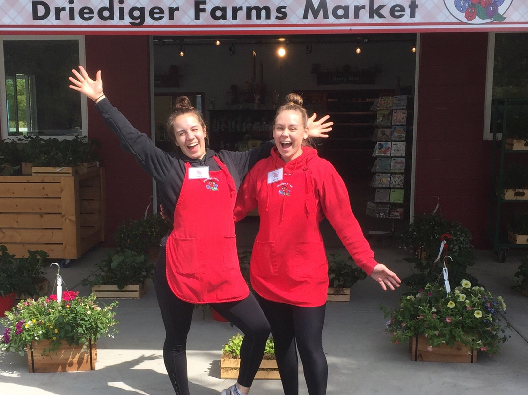 Driediger Farms-Langley必去景点