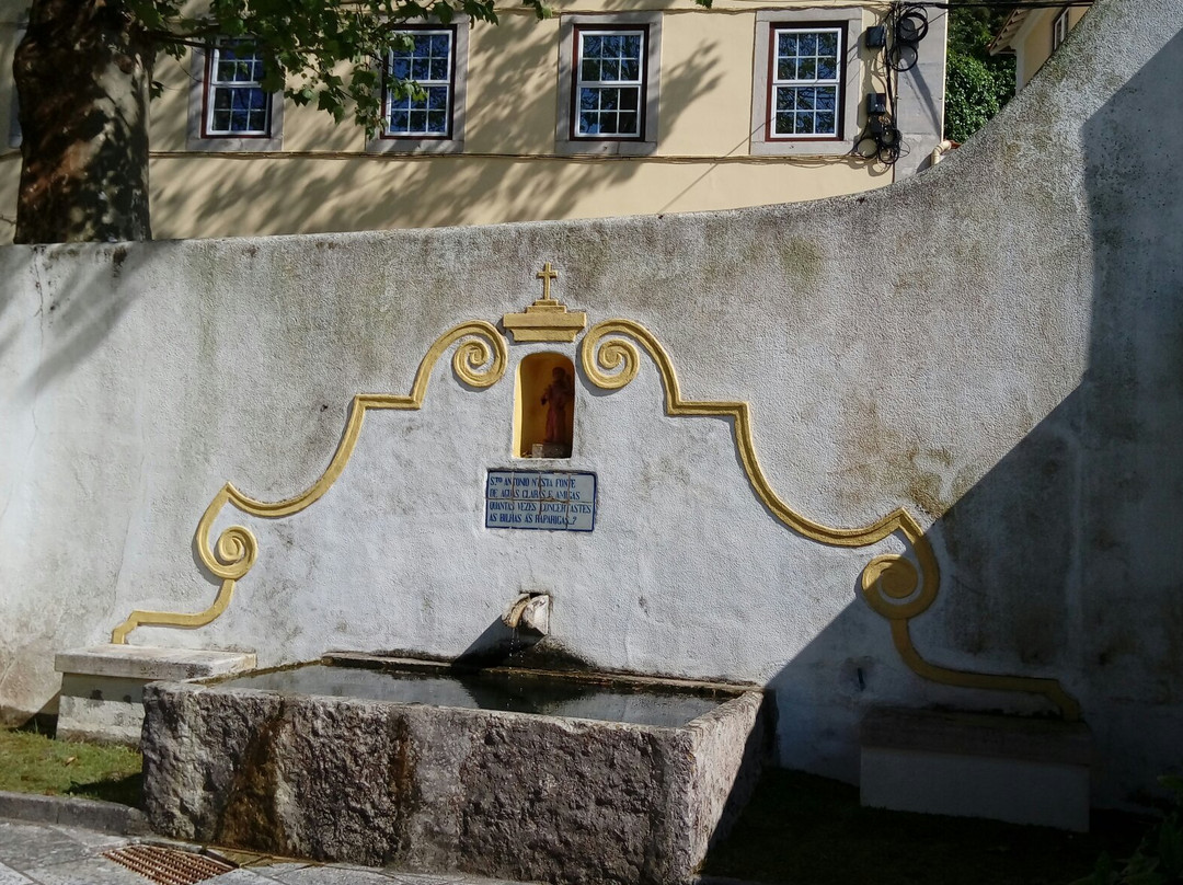 Museu Ferreira De Castro景点图片