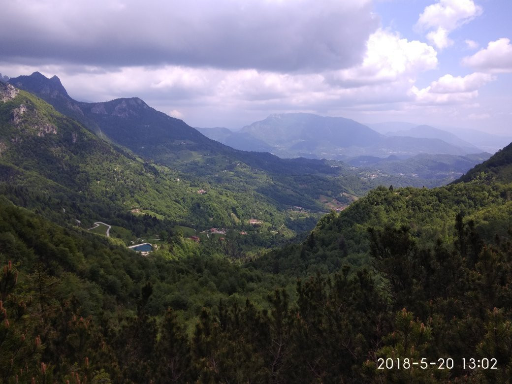 Sentiero dei Grandi Alberi景点图片