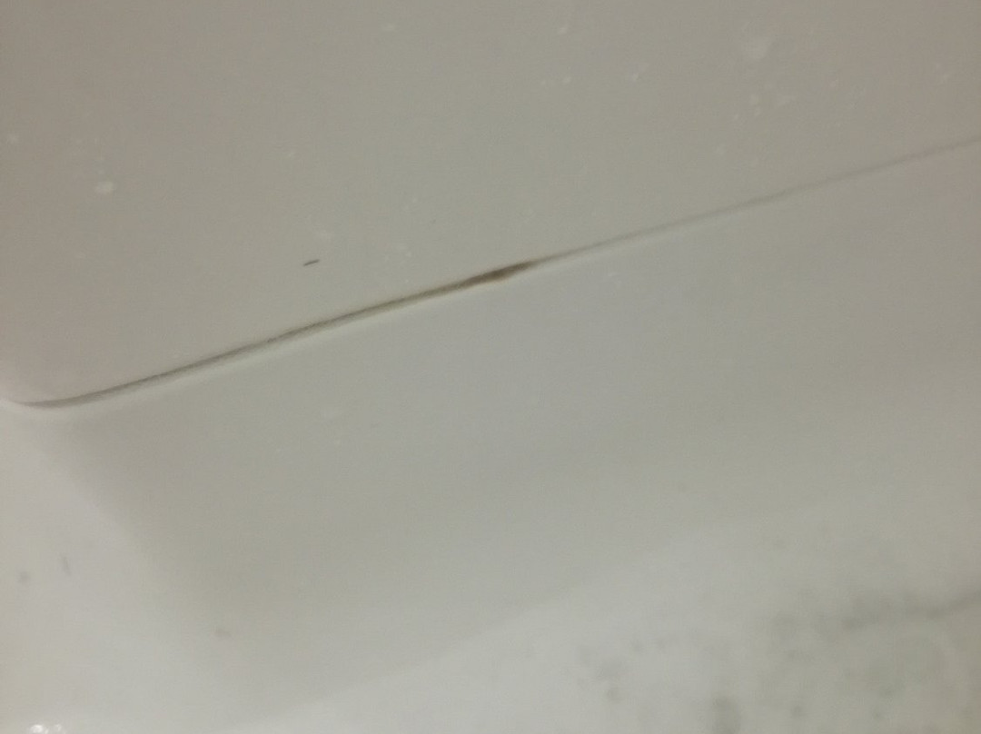 宜必思奥克兰艾勒斯利酒店主图