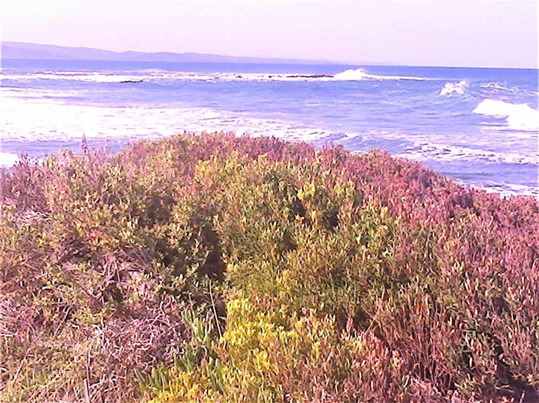 Shelly Beach-洛恩必去景点