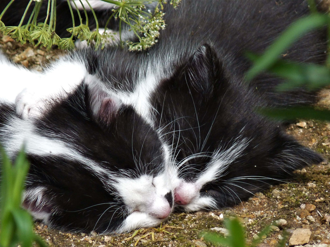 La Ferme de Leix主图