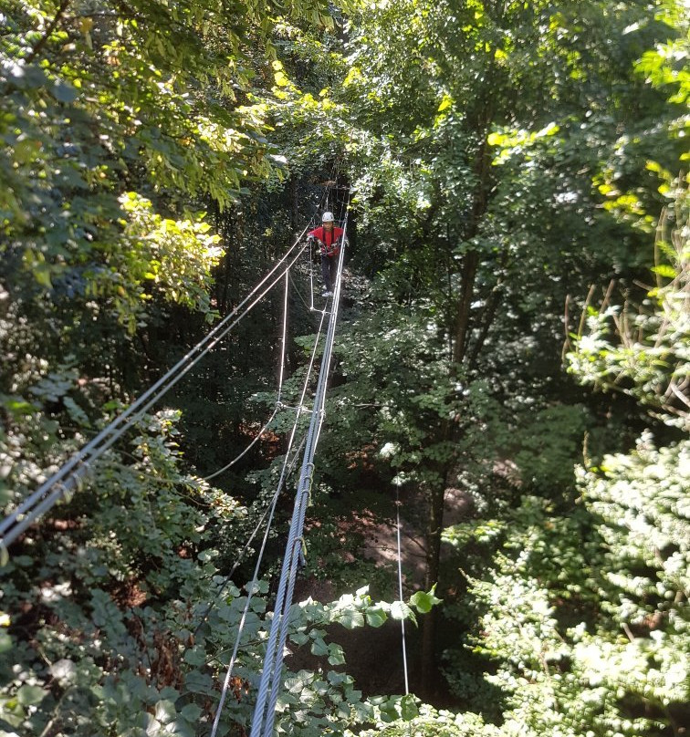 ROPETECH Ropes Course景点图片