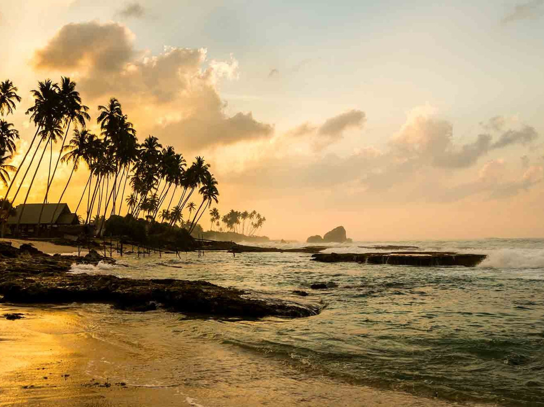 Sri Lanka Responsible Drivers-科伦坡必去景点