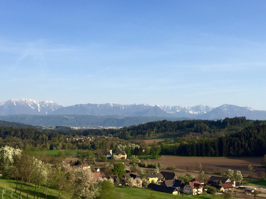Weingut Karnburg景点图片