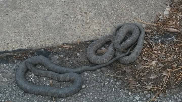 Battery Park Marina-桑达斯基必去景点