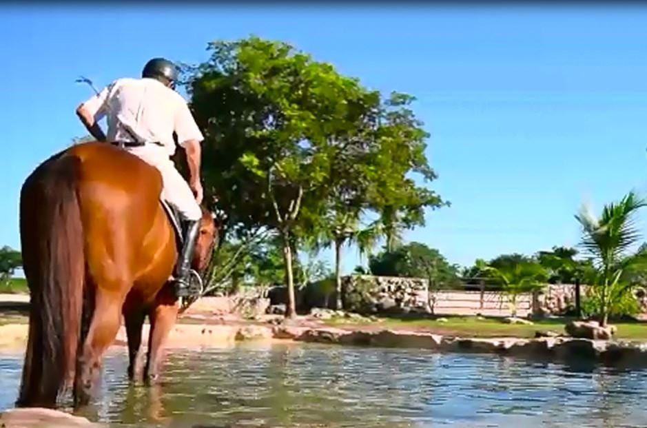 Maya Amazing Adventures-梅里达必去景点