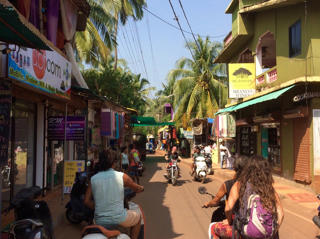 Cactus Guesthouse主图