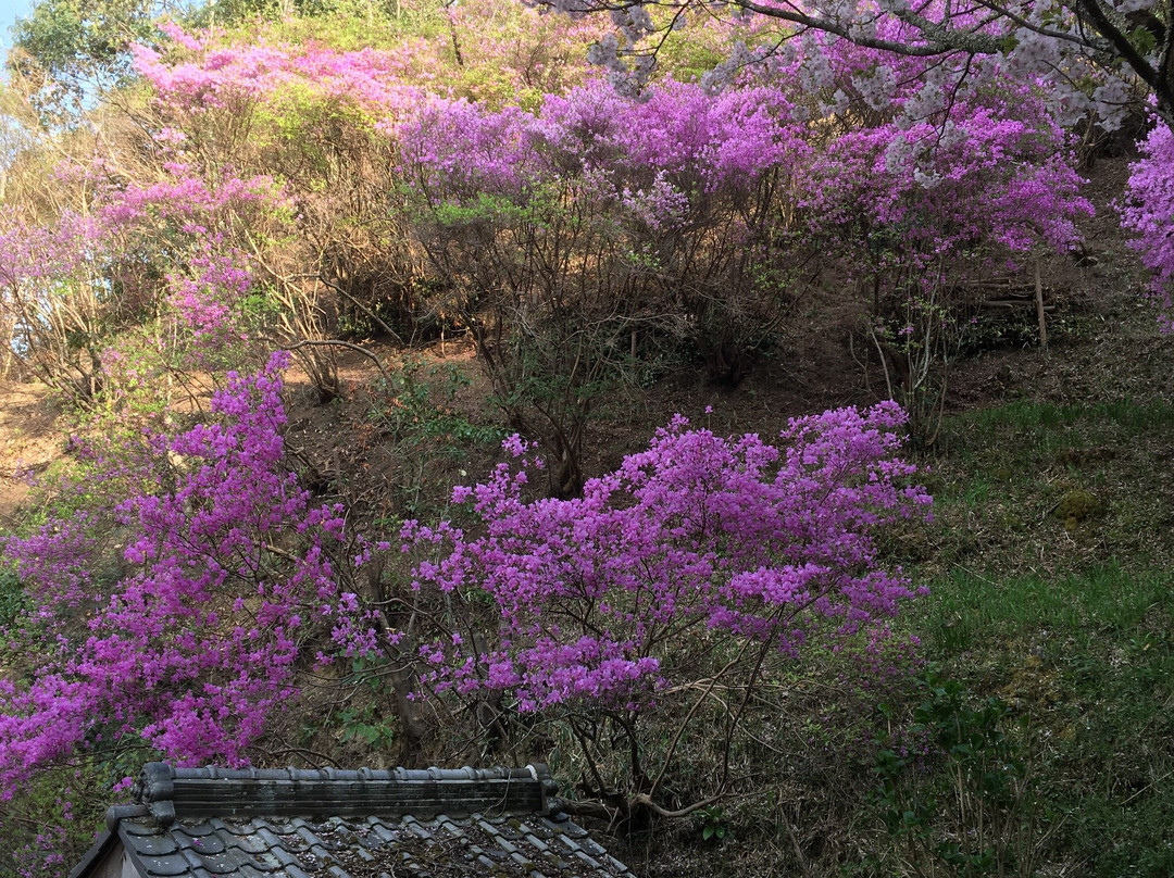 Jindoji Temple-木津川市必去景点