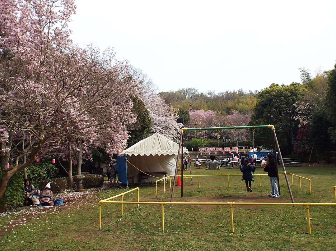 Araijoshi Park-真鹤町必去景点