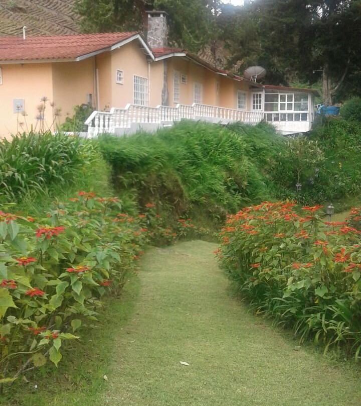 Las Orquideas Bed & Breakfast主图