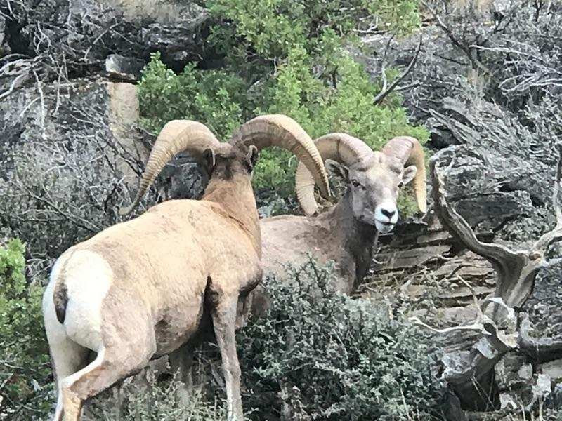 Yellowtail Reservoir-Hardin必去景点