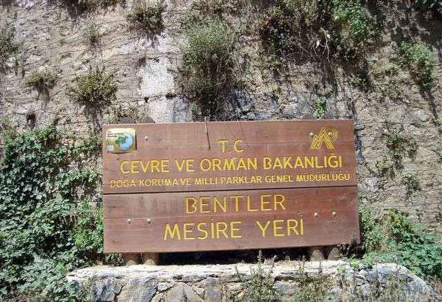 Bentler Tabiat Parki-伊斯坦布尔必去景点
