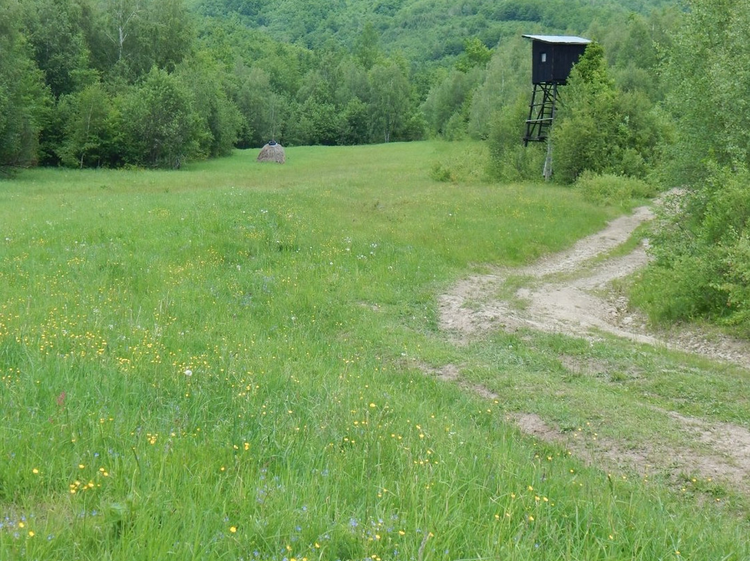 National Park Poloniny-Presov必去景点