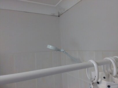 Red Star Palm Beach主图