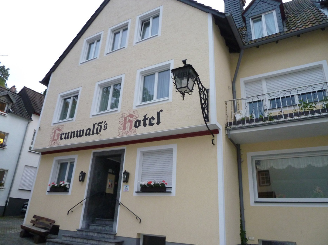 Hotel Grunwald主图