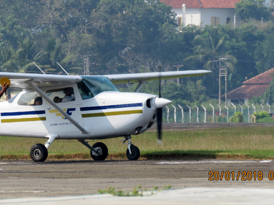 Whale Watching Safari-乌纳瓦图纳必去景点