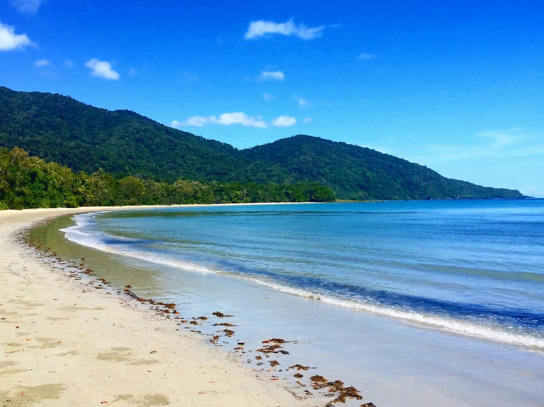 Daintree National Park景点图片