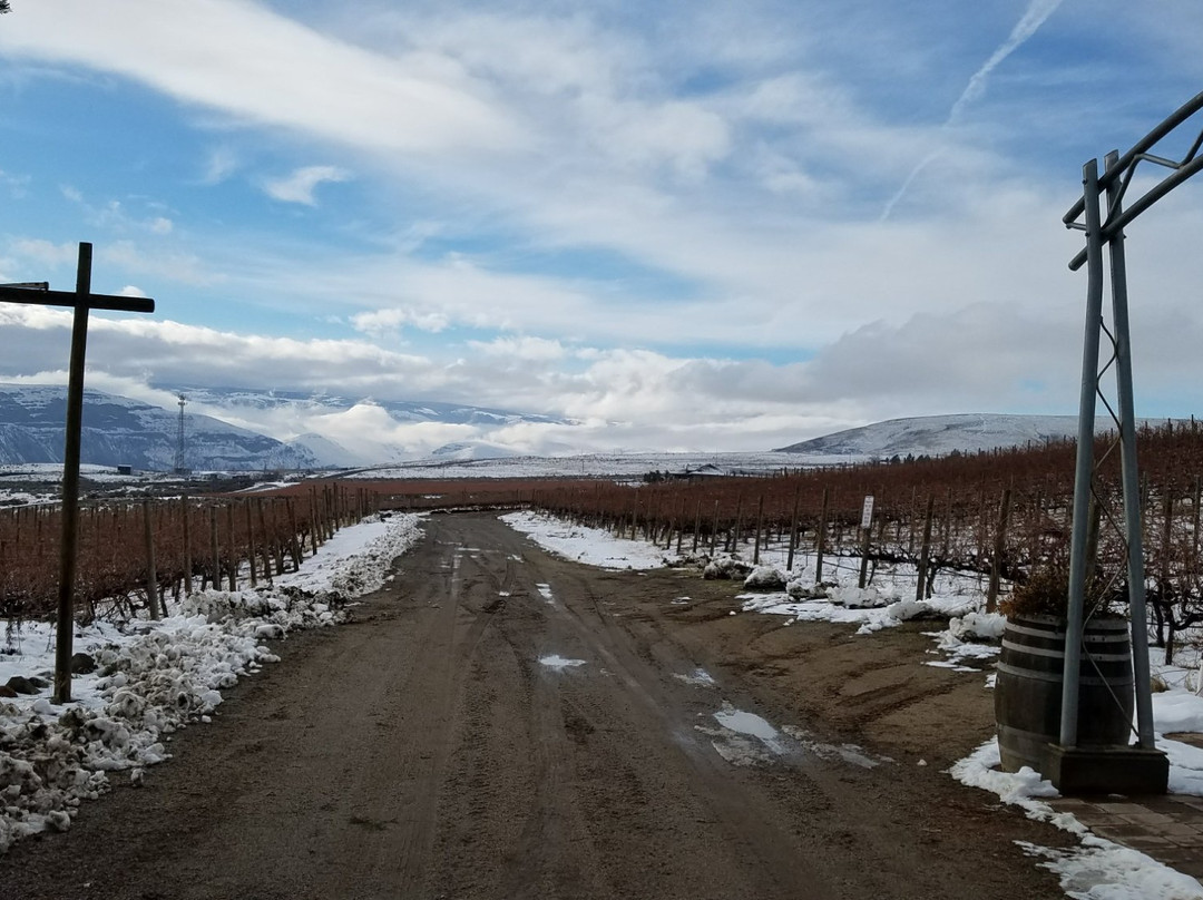 White Heron Winery景点图片