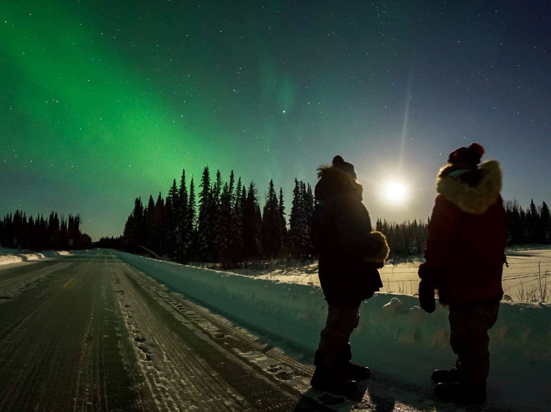 Alaska Borealis Tours & Taxi-费尔班克斯必去景点