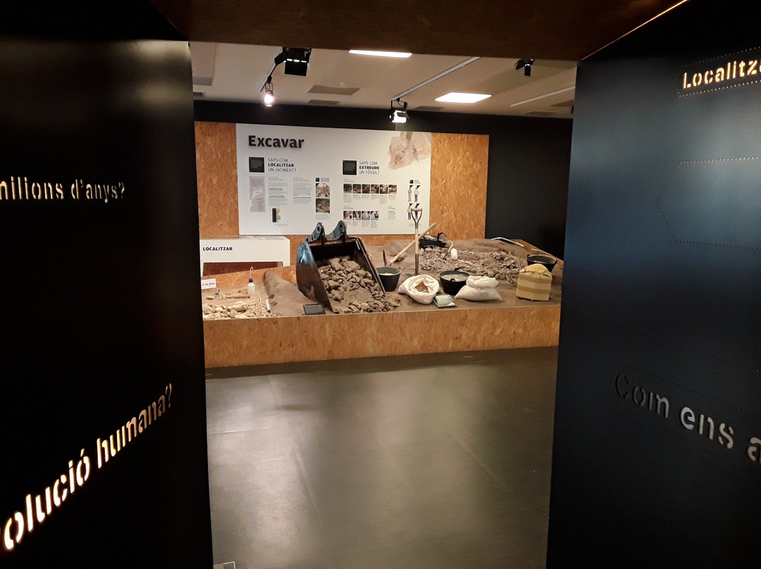 Museu de l'Institut Catala de Paleontologia Miquel Crusafont景点图片