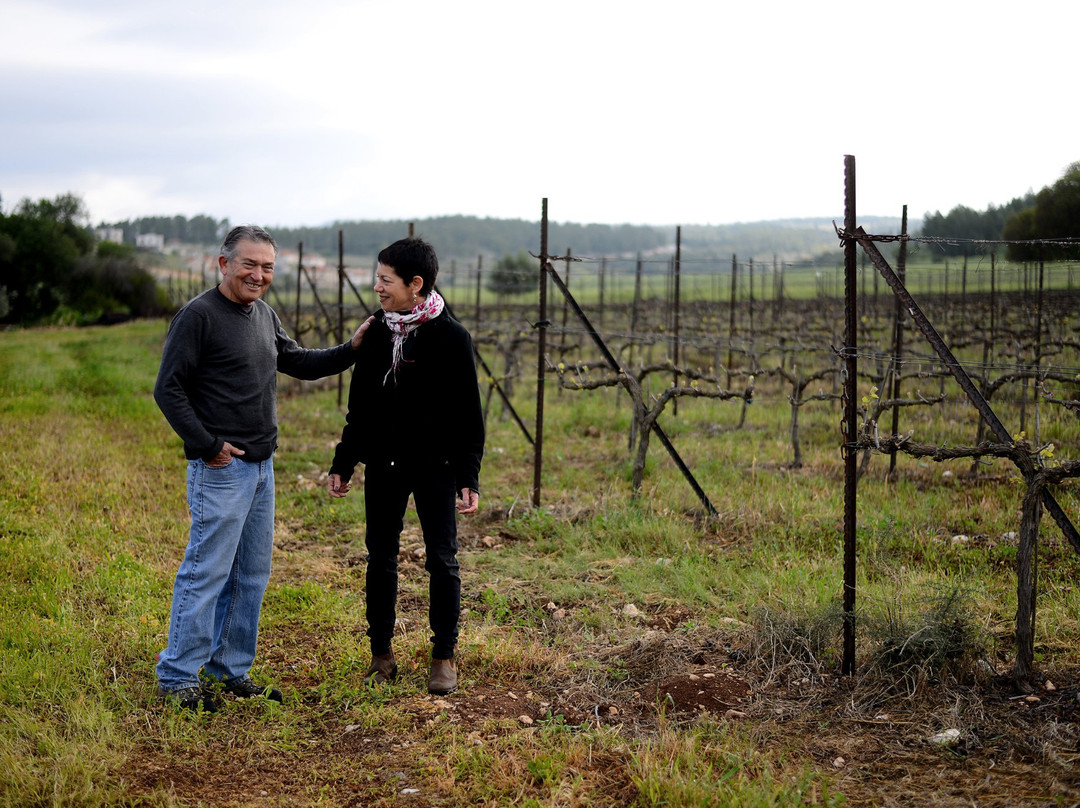 Zafririm Winery-Tsafririm必去景点