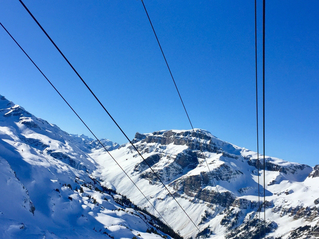 Seilbahn Urnerboden- Fisetengrat景点图片