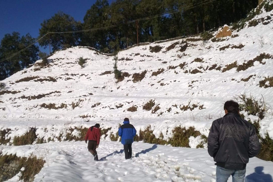 Hotel Pangot Himalayan View主图