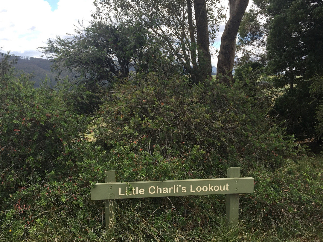 Little Charli's Lookout-Neerim South必去景点